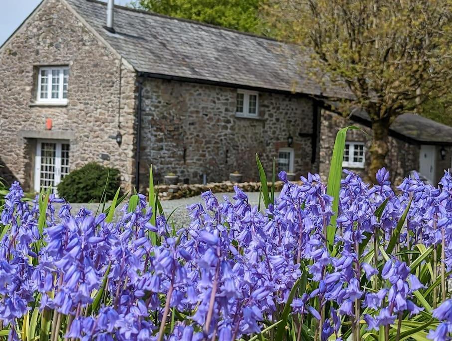 Lower Willsworthy Cottage Tavistock  Bagian luar foto