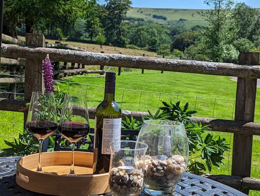 Lower Willsworthy Cottage Tavistock  Bagian luar foto