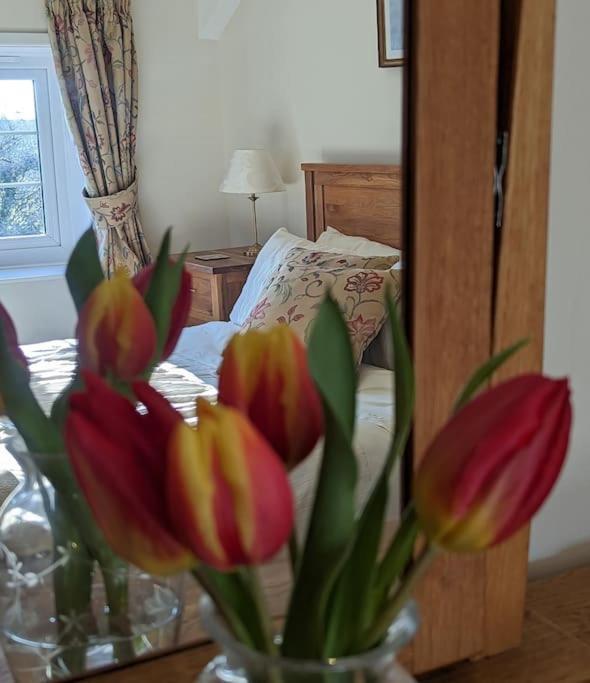 Lower Willsworthy Cottage Tavistock  Bagian luar foto