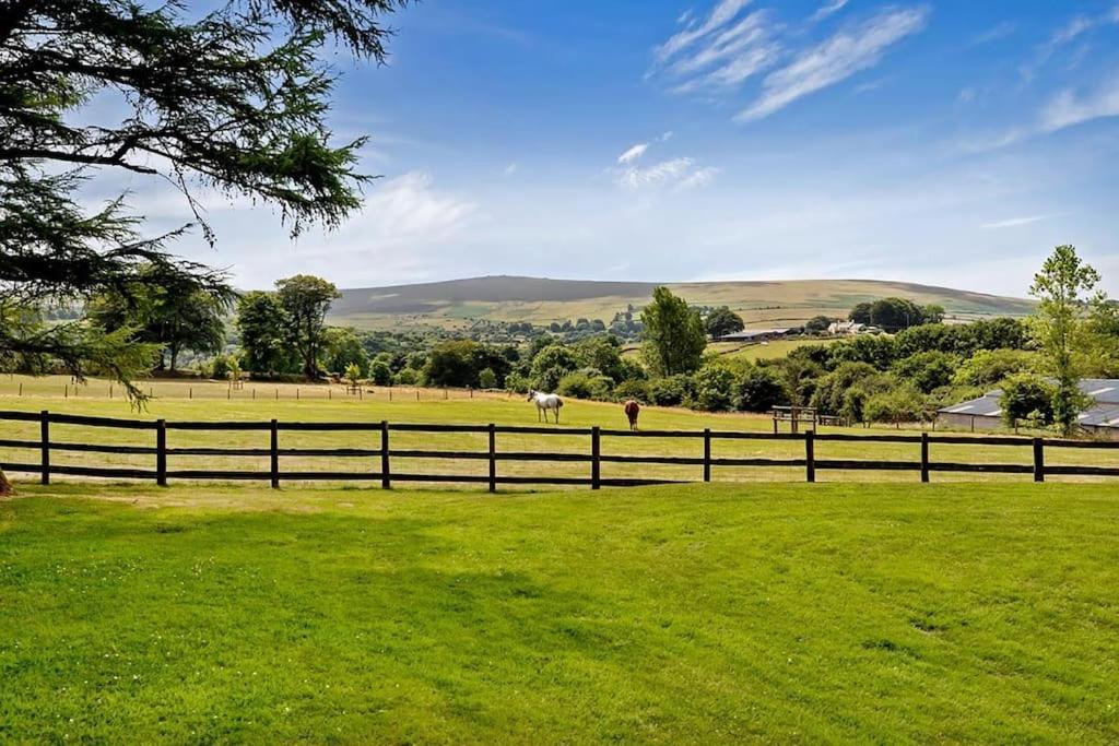 Lower Willsworthy Cottage Tavistock  Bagian luar foto